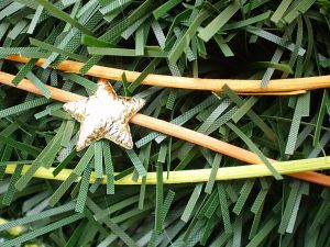 v�no�n� strome�ek na v�noce